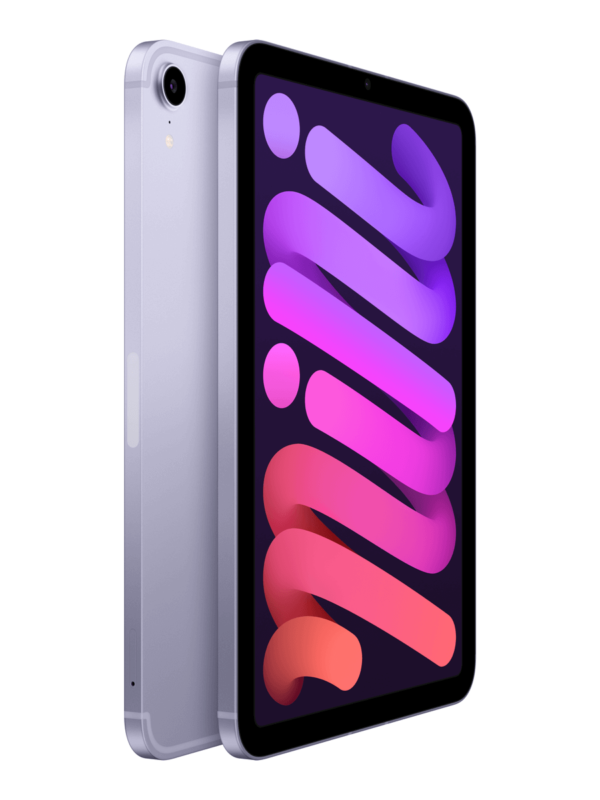iPad Mini 6 256GB: