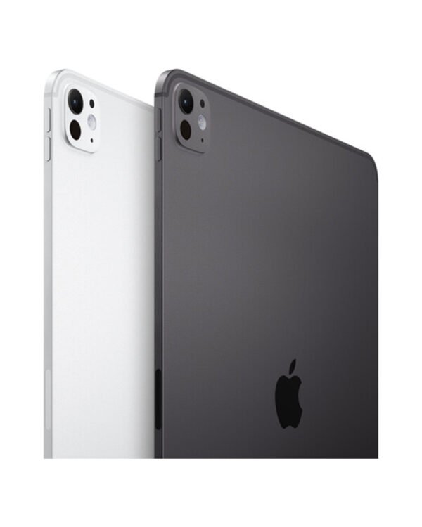 iPad Pro Chip M4 (2024) 256GB - 11" + LTE: